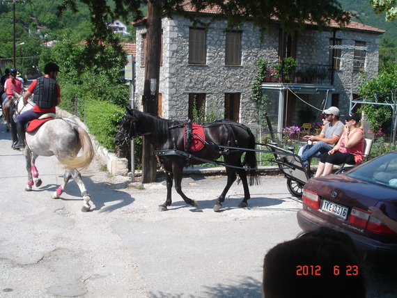 DSC07374