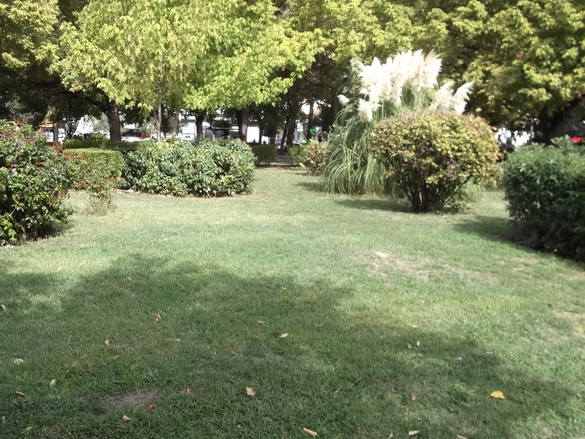 plateia_copy