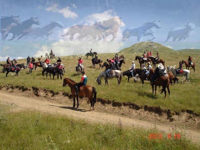 1558643 685910384775