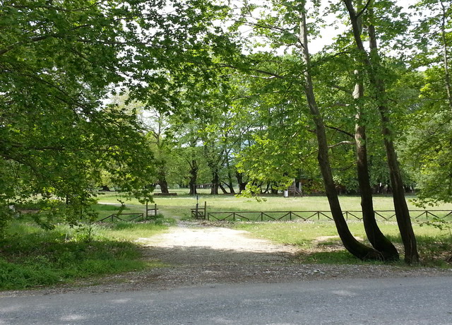 platanodasos Mpatzios