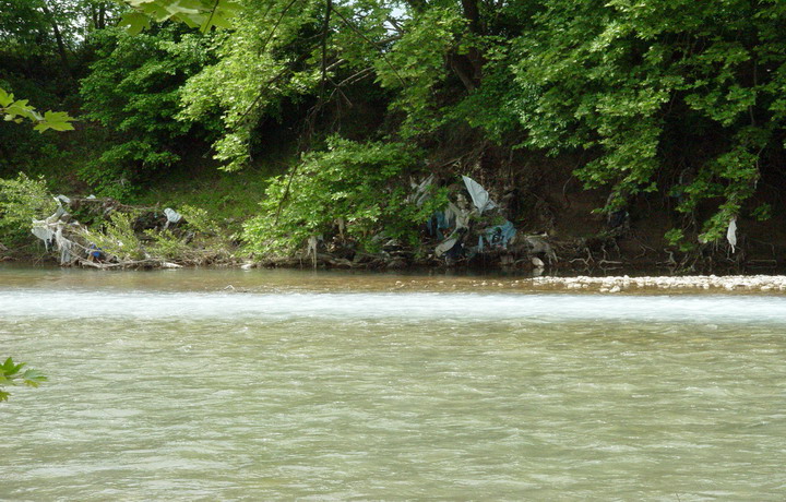 DSC03021