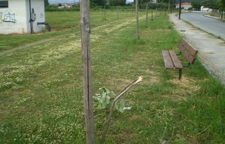 P2260002
